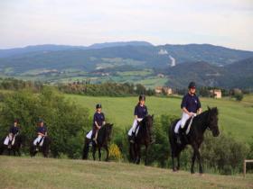 TORNA LA RASSEGNA DEL CAVALLINO DI MONTERUFOLI