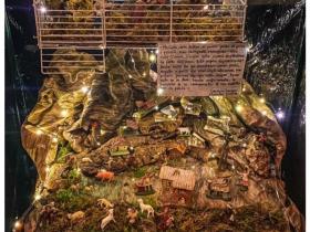 I vincitori del Concorso "POMARANCE ADDOBBA IL NATALE"