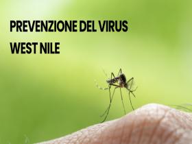 PREVENZIONE VIRUS WEST NILE