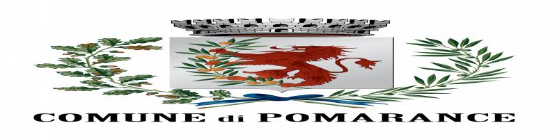 ASSEMBLEE PUBBLICHE NEI PAESI